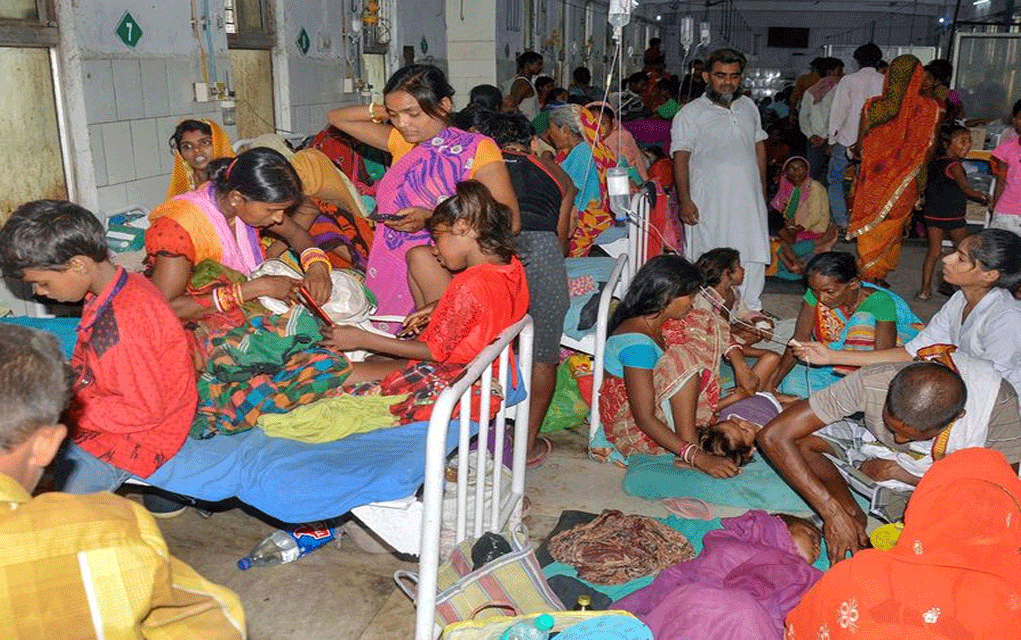 কোভিড-নয়,এবার চোখ রাঙাচ্ছে জাপানি জ্বর! উদ্বেগে স্বাস্থ্য বিভাগ এবং প্রশাসন!