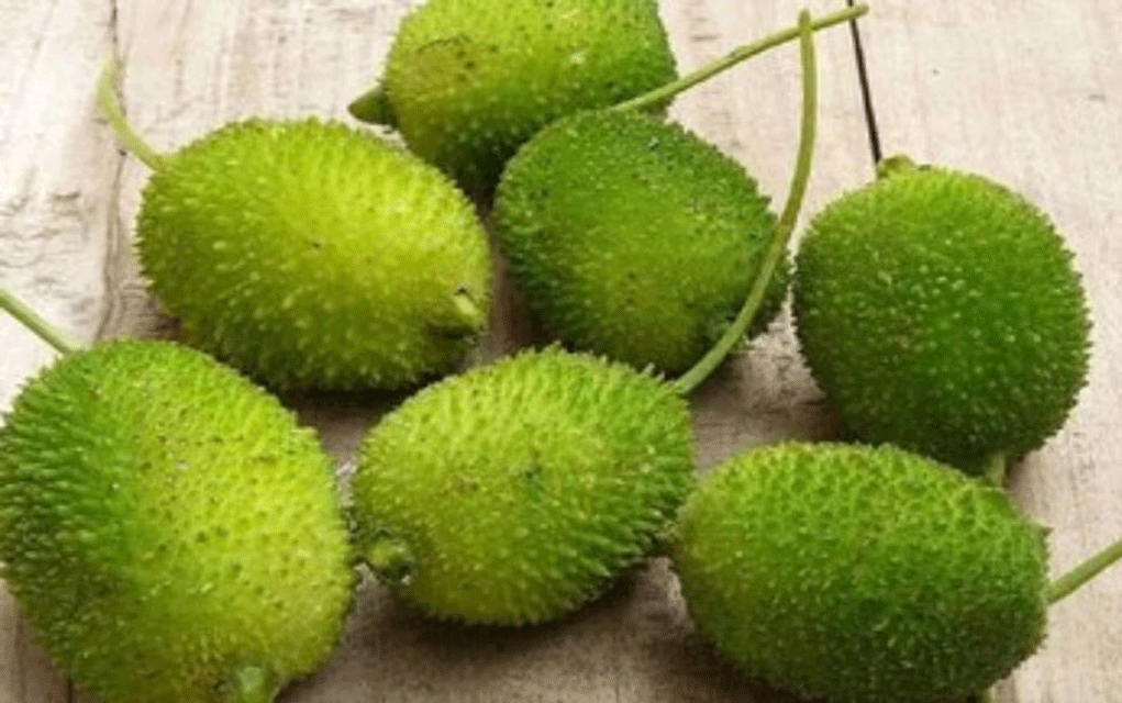 সুস্থ থাকতে খেতেই হবে কাঁকরোল