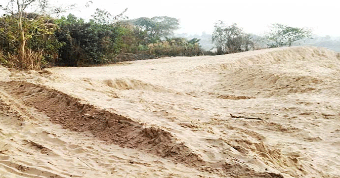 Siliguri শিলিগুড়িতে বালি মাফিয়াদের বিরুদ্ধে পুলিশের মেগা অপারেশন!