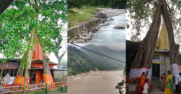Bodaganj | জঙ্গল, মন্দির আর তিস্তার ছোঁয়ায় বোধাগঞ্জ–গৌরীকন কি হতে চলেছে উত্তরবঙ্গের নেক্সট হিডেন জেম?